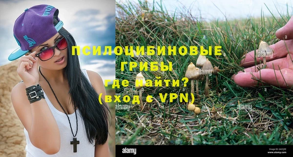 гидропоника Лагань